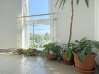Verkauf wohnung (ziegel) Zalaegerszeg, 40m2