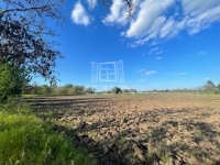 For sale building lot Zsombó, 6163m2