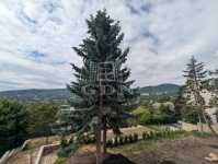 For sale flat Budapest, II. district, 224m2