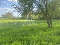 For sale agricultural area Balatongyörök, 37566m2