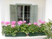 For sale family house Tök, 90m2