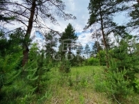 Verkauf wohngrundstück Kecskemét, 6000m2